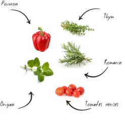 Mini-Kit- Ready To Grow Bio BBQ