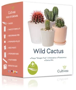 Mini Kit- Wild Cactus