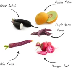 Mini Set - Funny Veggies