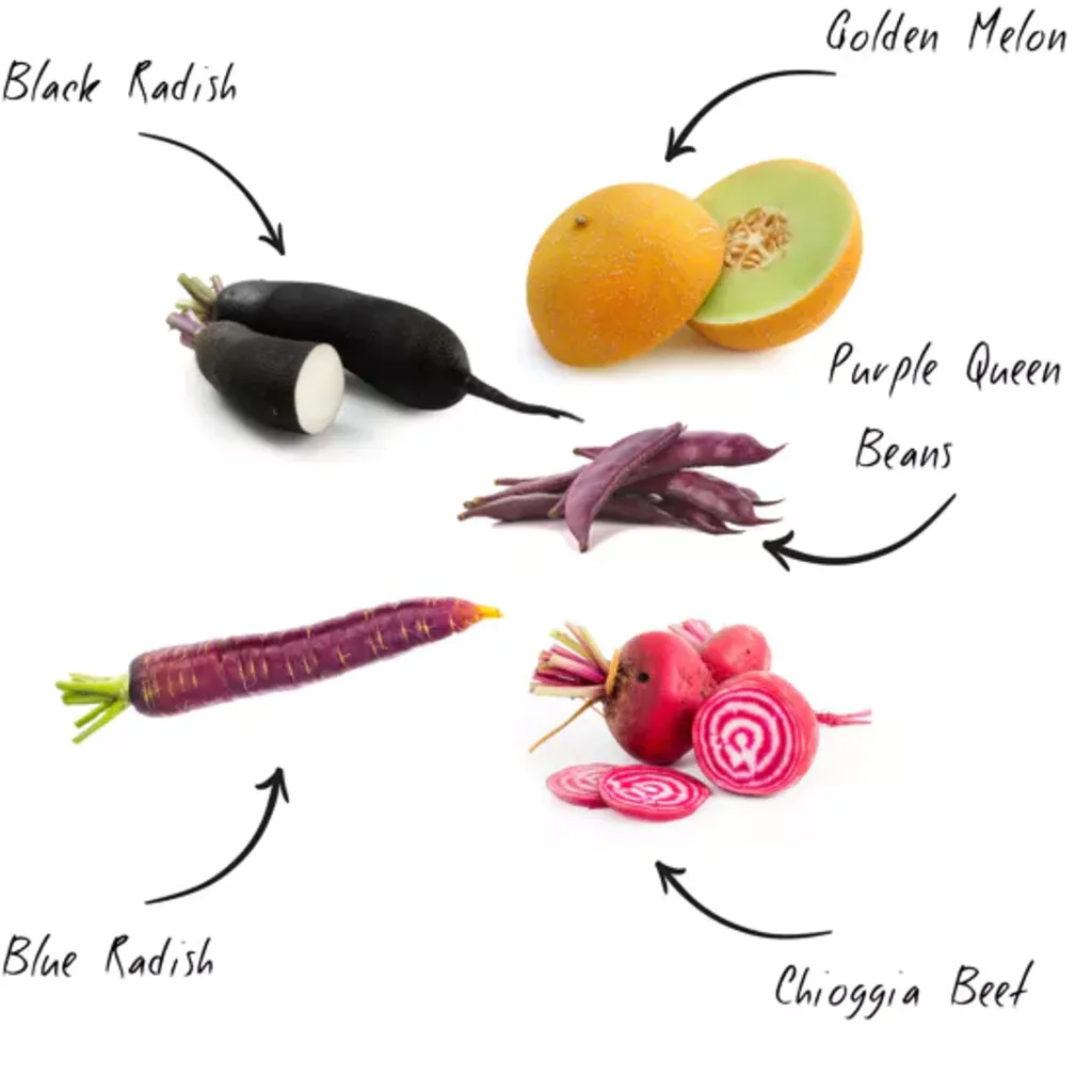 Mini Set - Funny Veggies