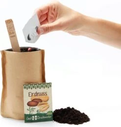 Mini-Giardino - Arachidi