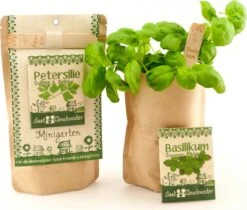 Mini Giardino - Basilico Genoveser Emily