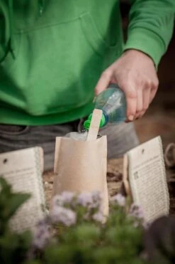 Mini Giardino - Girasole