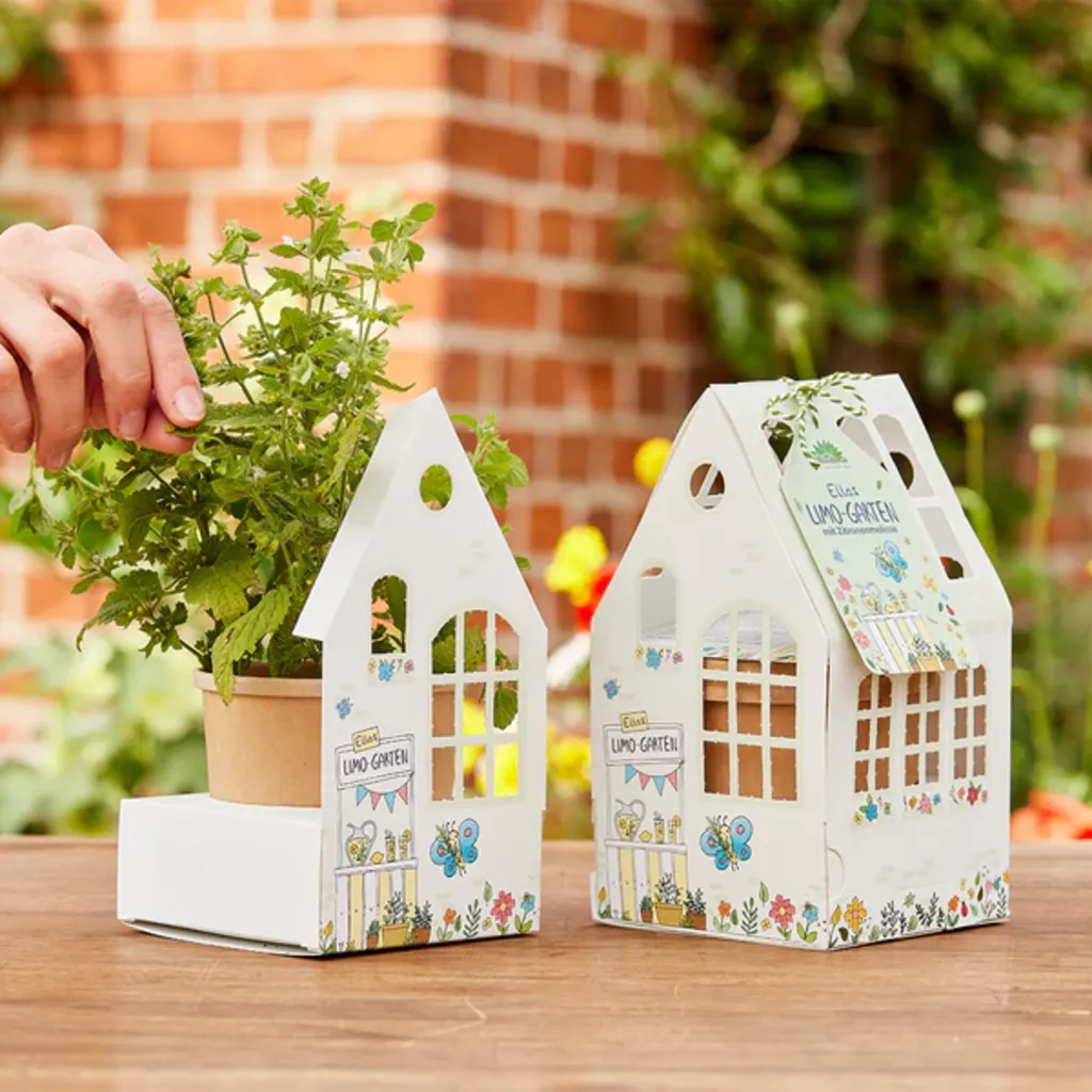 Set Di Coltivazione Per Bambini - Il Giardino Agrumato Di Ella