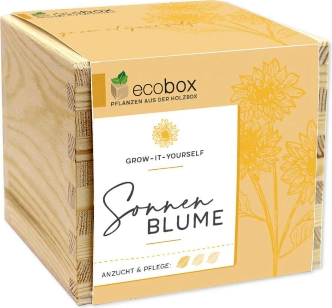 Ecobox - Girasole - immagine 2