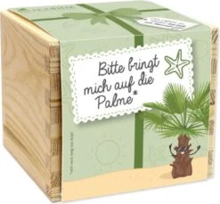 Ecobox - Palma (Speciale)