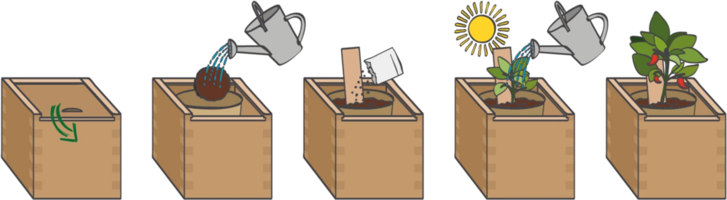 Ecobox - Peperoncino (Speciale)