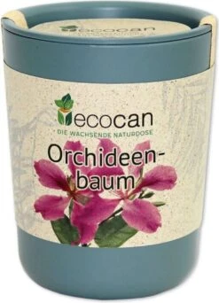 Ecocan - Albero Orchidea