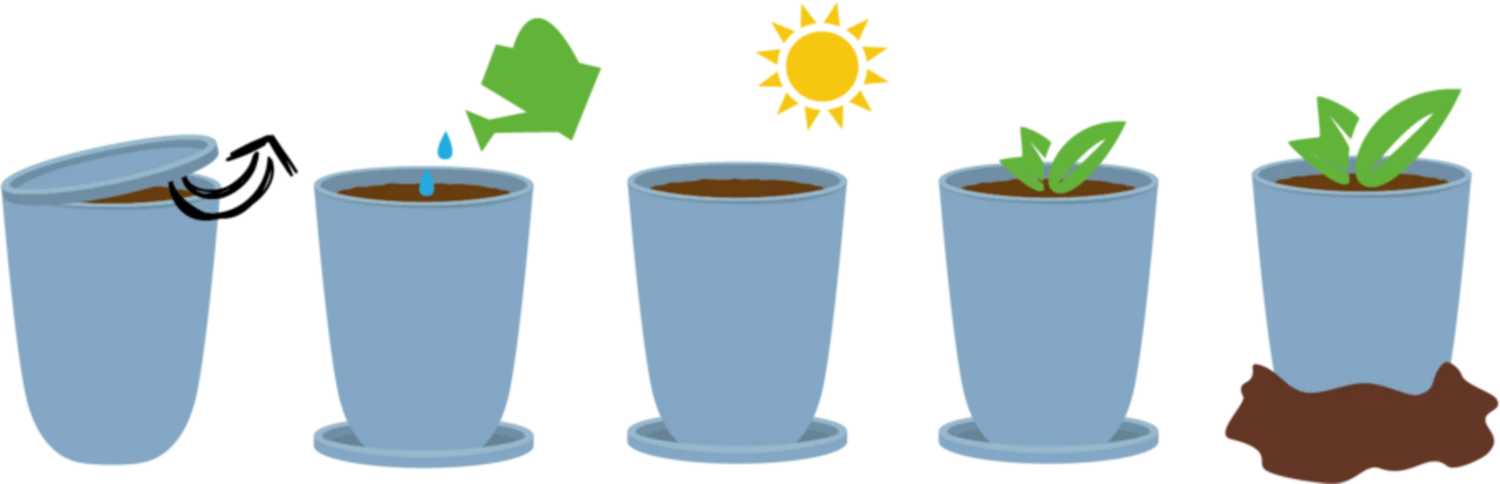 Ecocan - Albero Orchidea - immagine 2