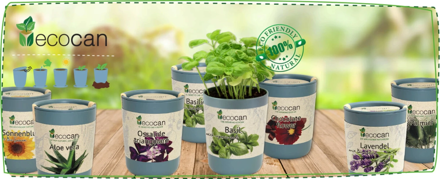 Ecocan - Albero Orchidea - immagine 3