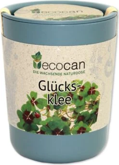 Ecocan - Buona Fortuna, Buona Fortuna!