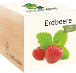 Ecocube - Fragola, Fragola
