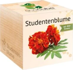 Ecocube - Tagete