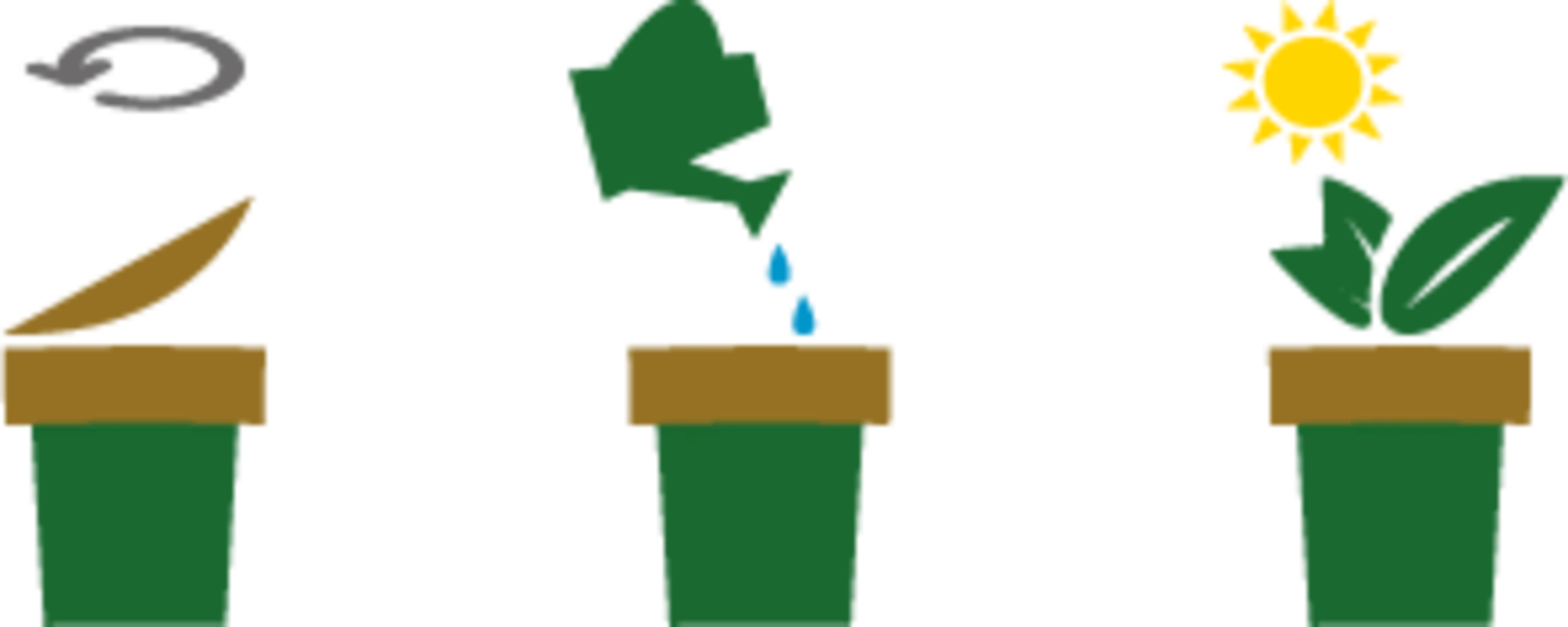 Ecocup - Albero Di Natale - immagine 4