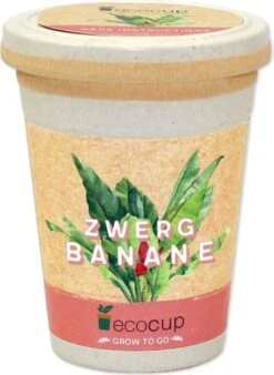 Ecocup - Banana Cavendish
