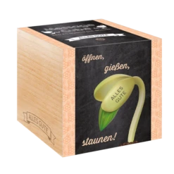 Message Cube - Tanti Auguri