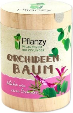 Pflanzy - Albero Orchidea