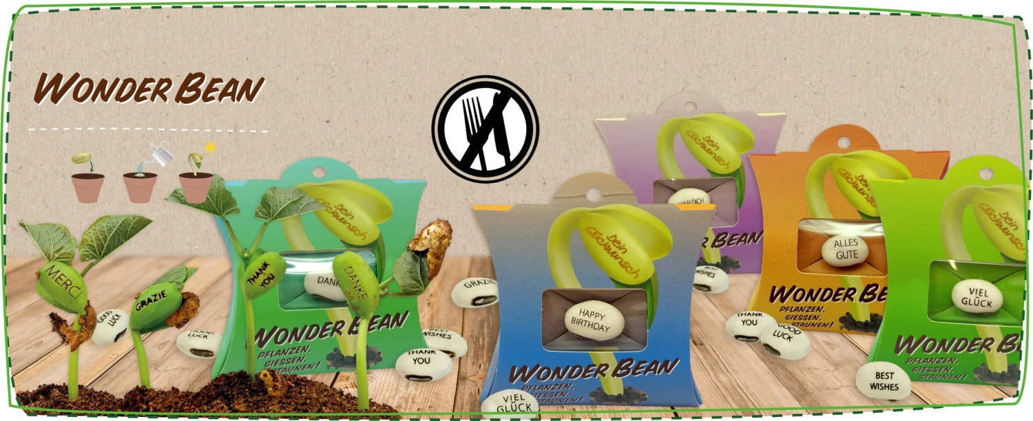 Wonder Bean - Buona Fortuna - immagine 2