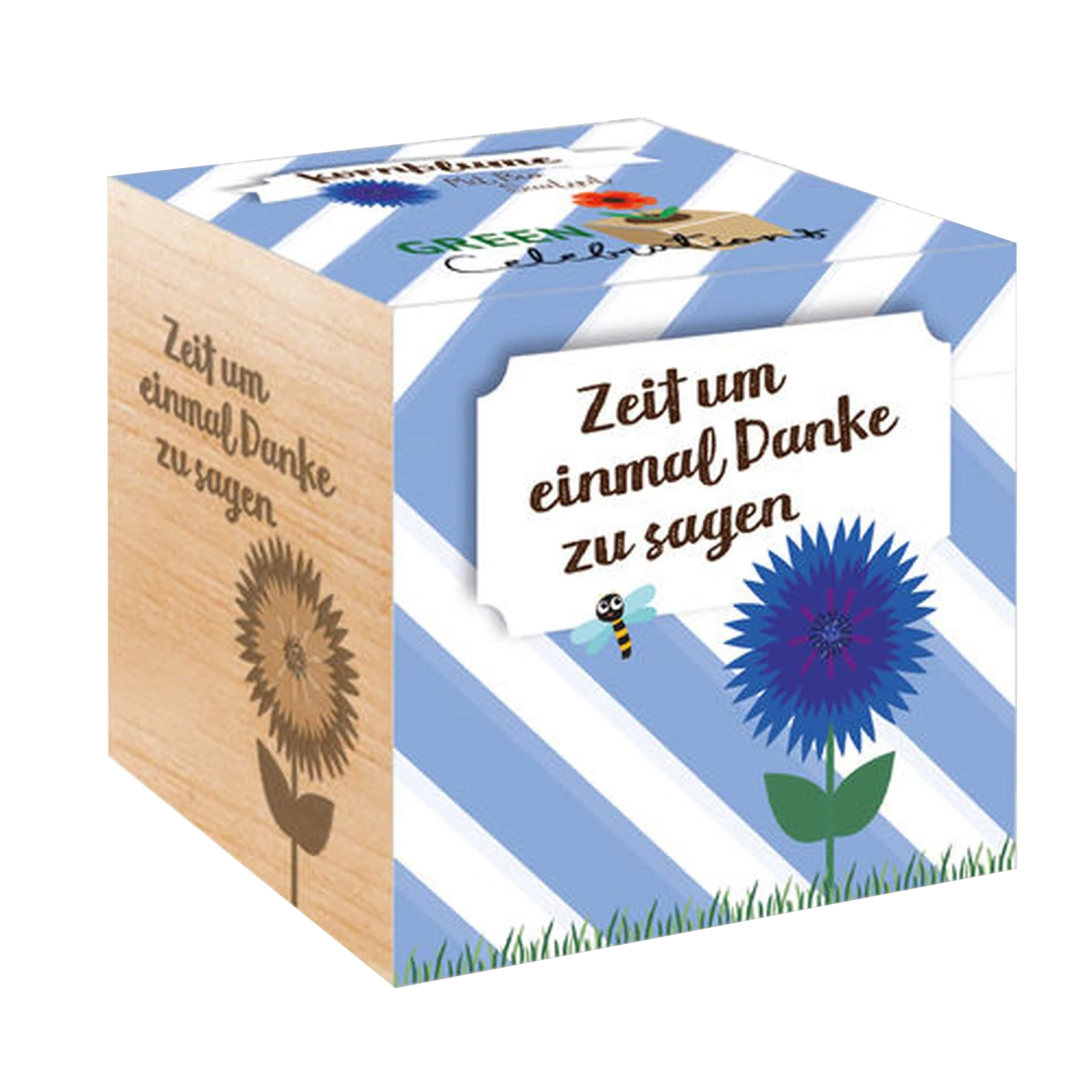 Green Celebrations - Fiordaliso - immagine 2