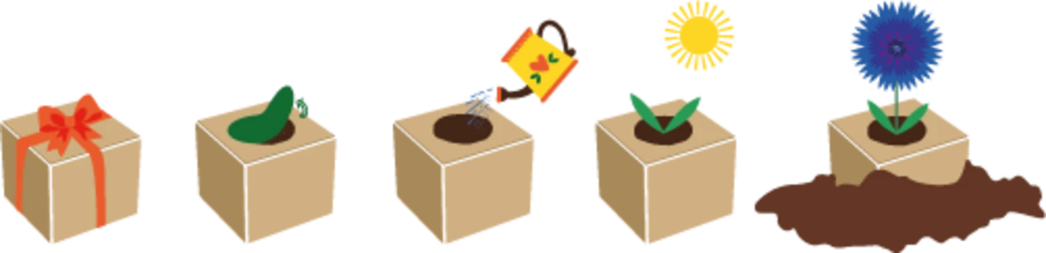 Green Celebrations - Fiordaliso - immagine 4