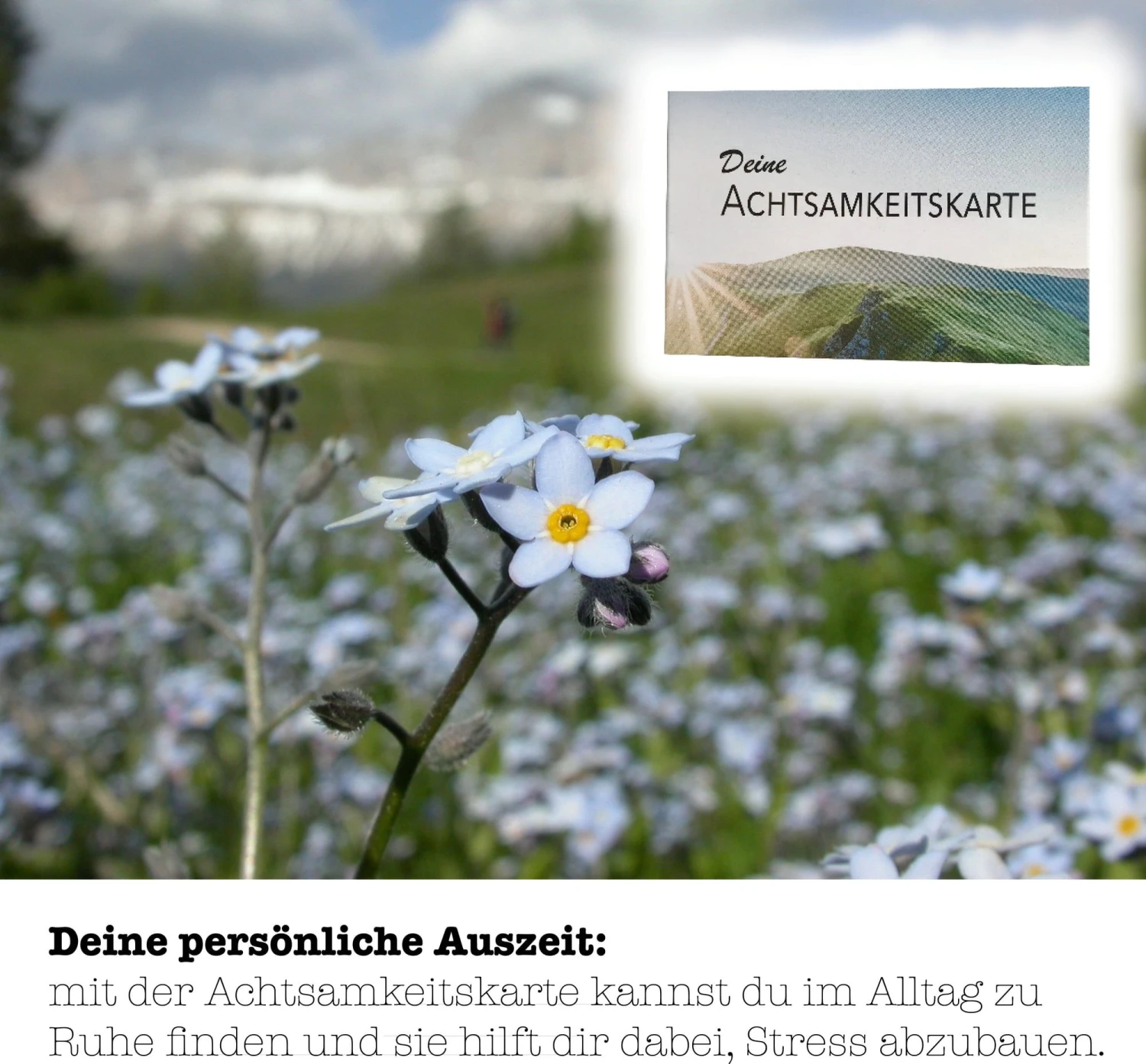 Set Da Coltivazione - Non Ti Scordar Di Me - immagine 5