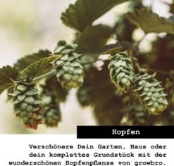 Set Da Coltivazione Premium - Alberi E Arbusti