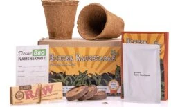 Set Da Coltivazione - Tabacco