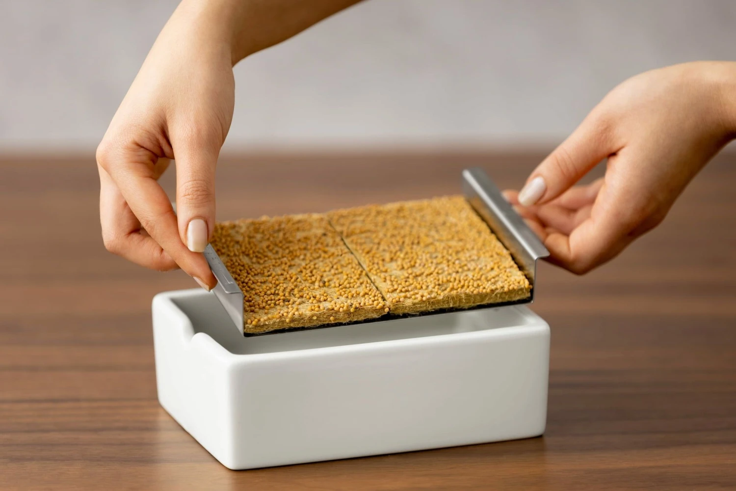 Starter Kit Microgreens - immagine 10