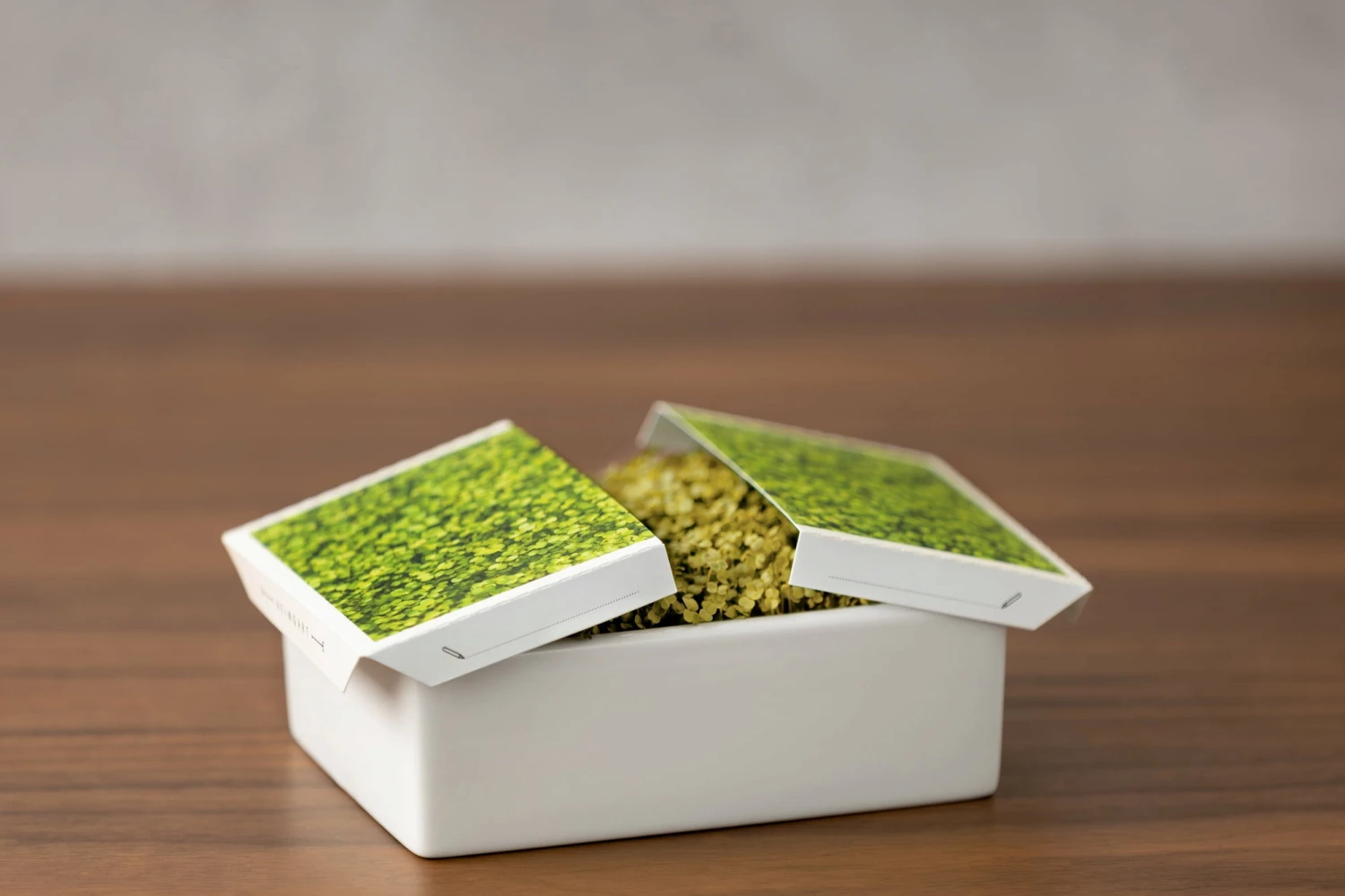 Starter Kit Microgreens - immagine 11