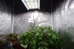 HortiONE 420 V3 LED 150W Full Spectrum