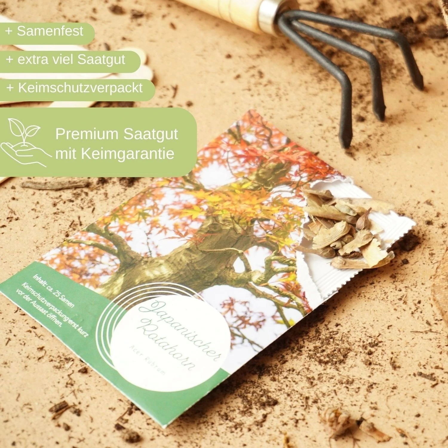 Starter Set - Bonsai - immagine 2