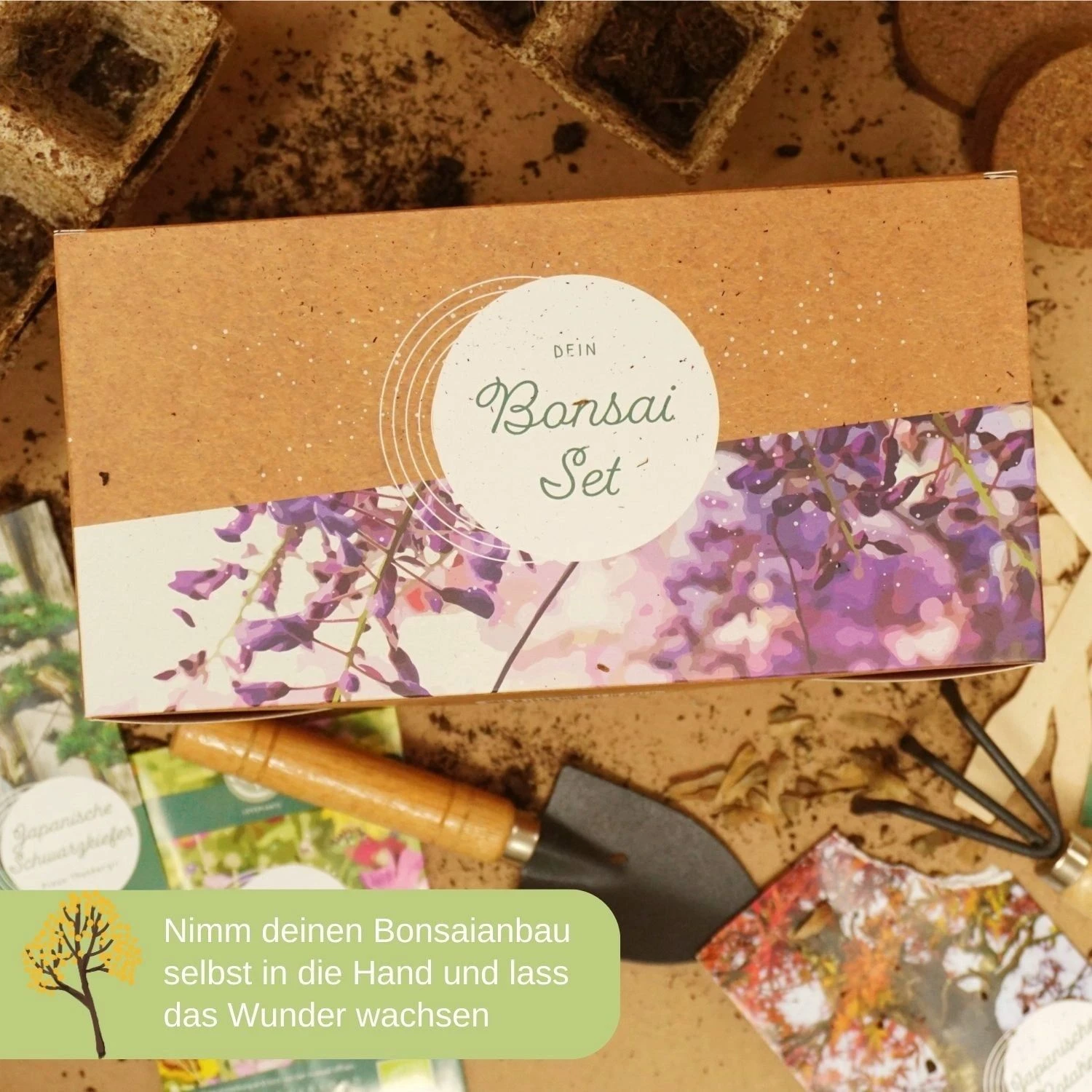 Starter Set - Bonsai - immagine 6