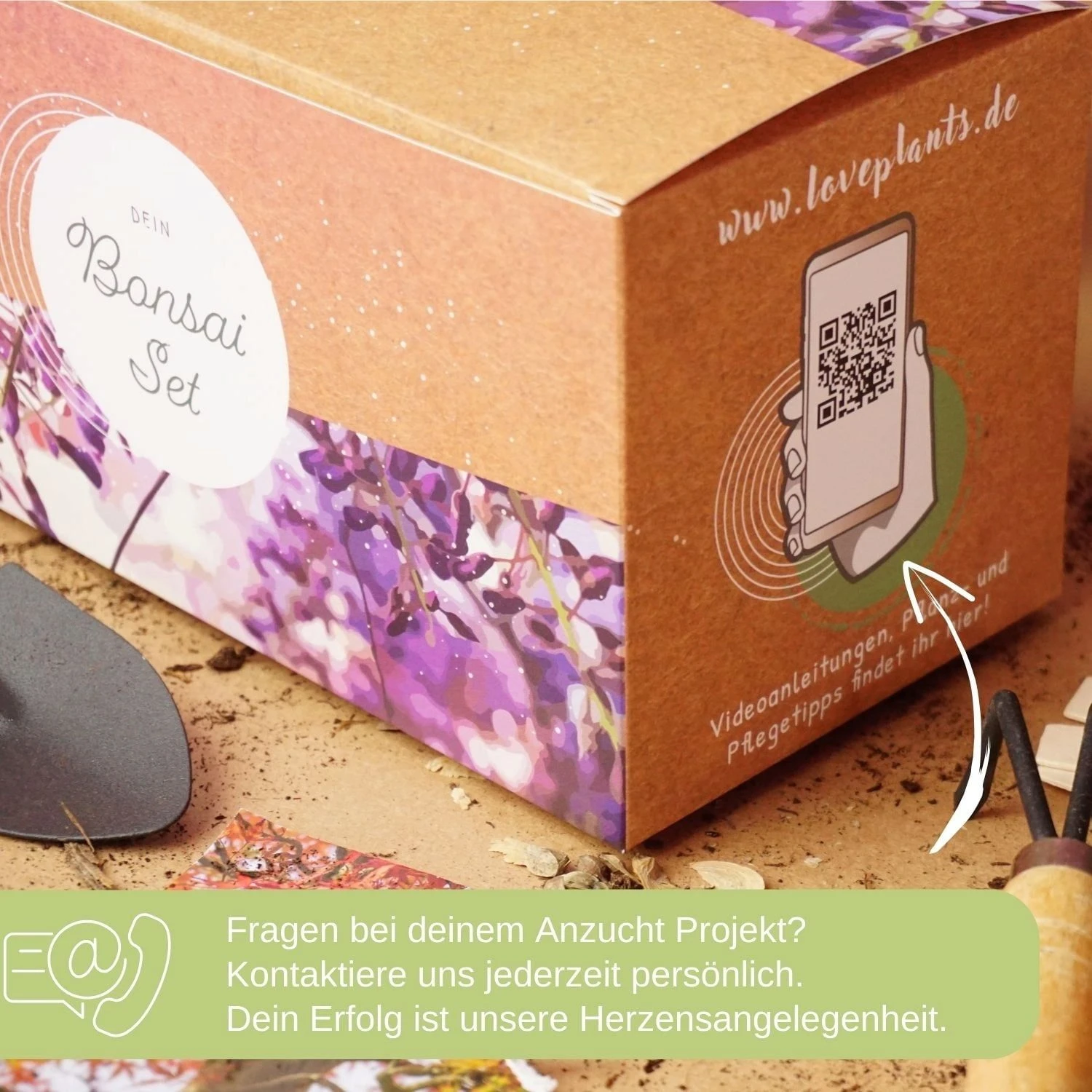 Starter Set - Bonsai - immagine 3