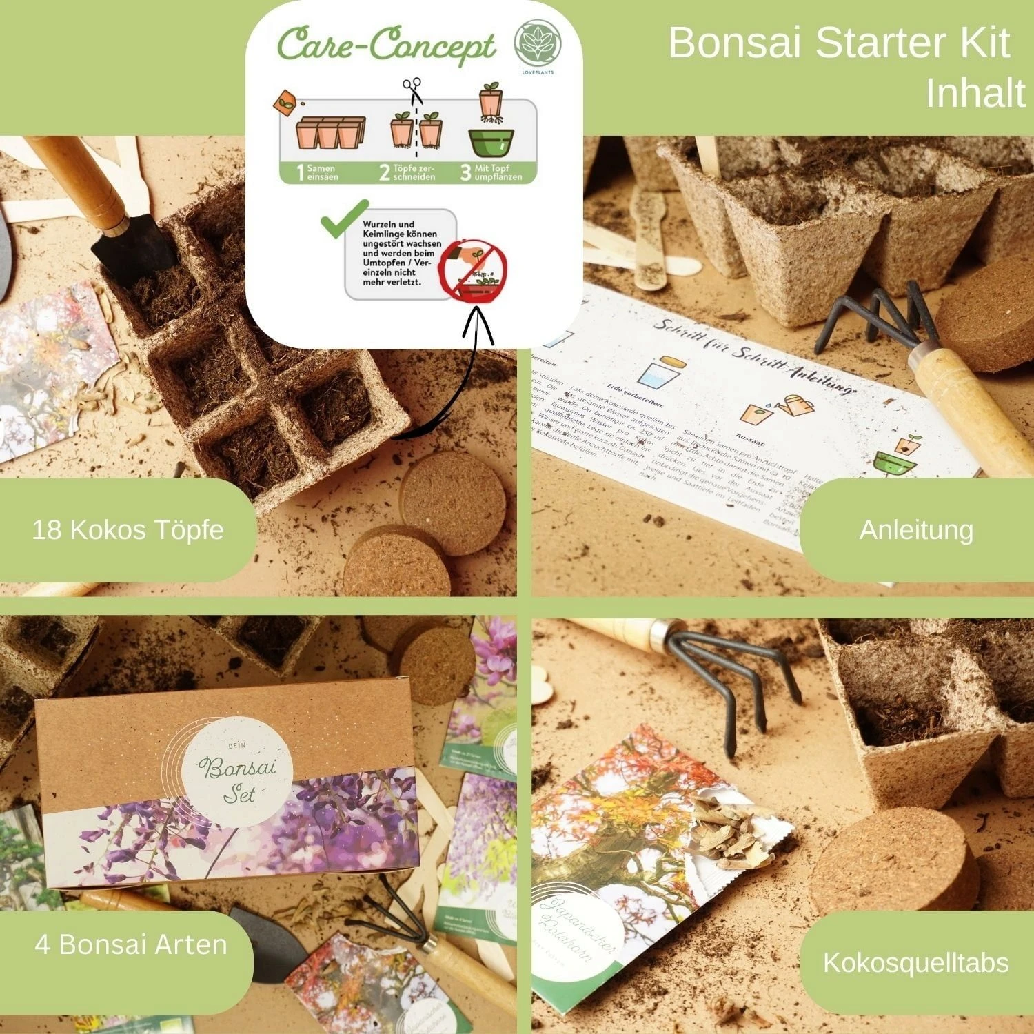Starter Set - Bonsai