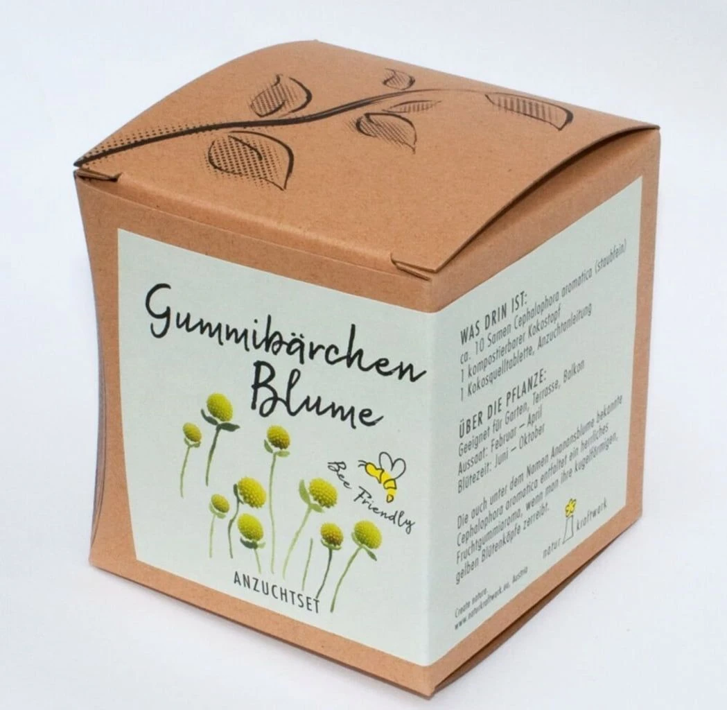 Set Di Coltivazione "Gummibärchenblume" - Cephalophora Aromatica - immagine 4