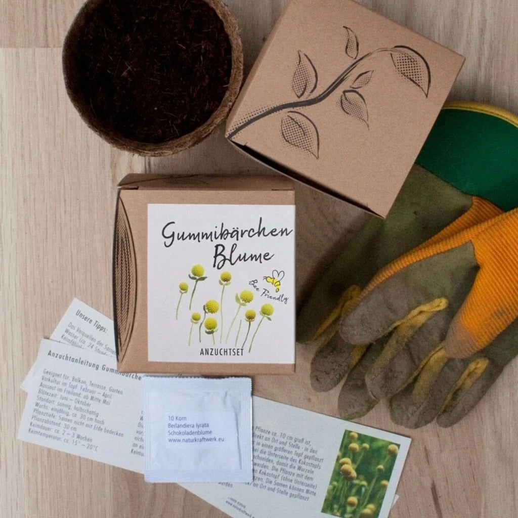 Set Di Coltivazione "Gummibärchenblume" - Cephalophora Aromatica - immagine 5