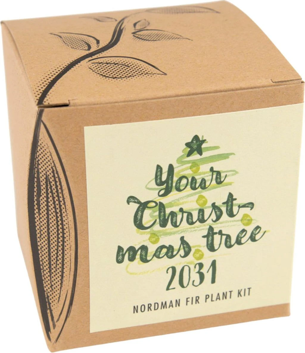 Set Di Coltivazione Your Christmas-Tree 2029