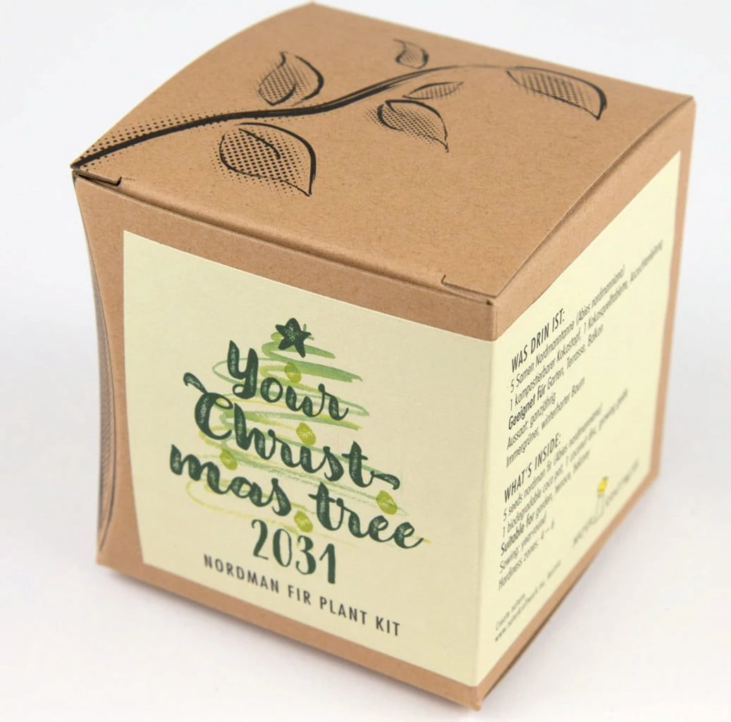 Set Di Coltivazione Your Christmas-Tree 2029 - immagine 3