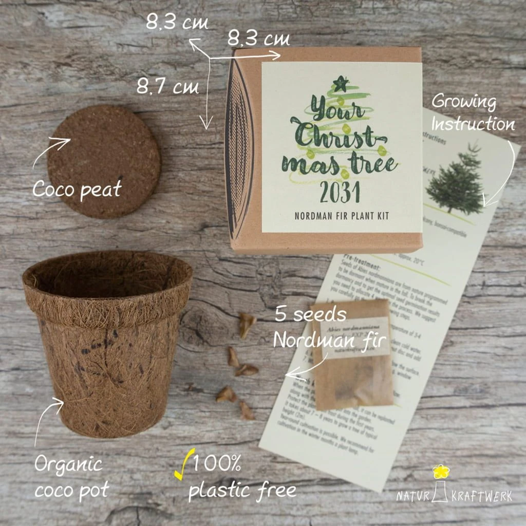 Set Di Coltivazione Your Christmas-Tree 2029 - immagine 2