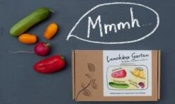 Set Di Semi Di Ortaggi Lunchbox Garden