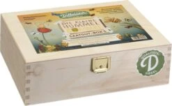 Box Di Semi Per Bombi, S