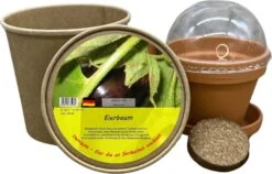 Set Di Coltivazione - Pianta Delle Uova