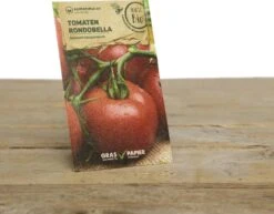 Set Di Semi Bio Per Urban Gardening - Quentin Terrassino