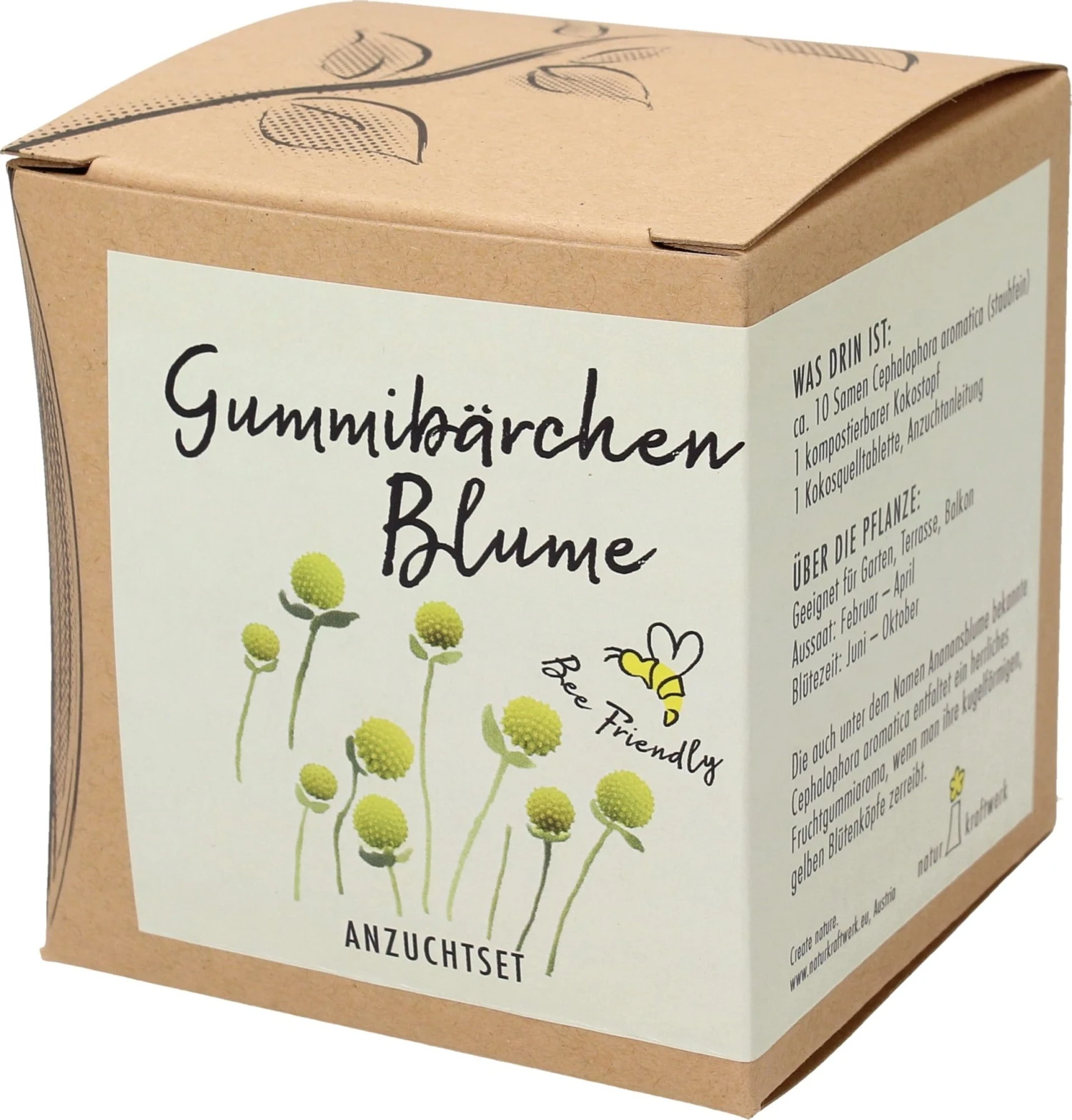 Set Di Coltivazione "Gummibärchenblume" - Cephalophora Aromatica - immagine 3