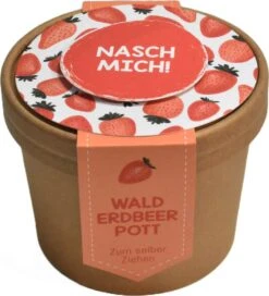 Set Di Coltivazione Per Davanzale - Fragole Selvatiche