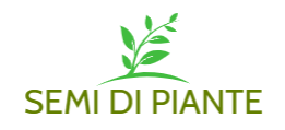 Semi Di Piante